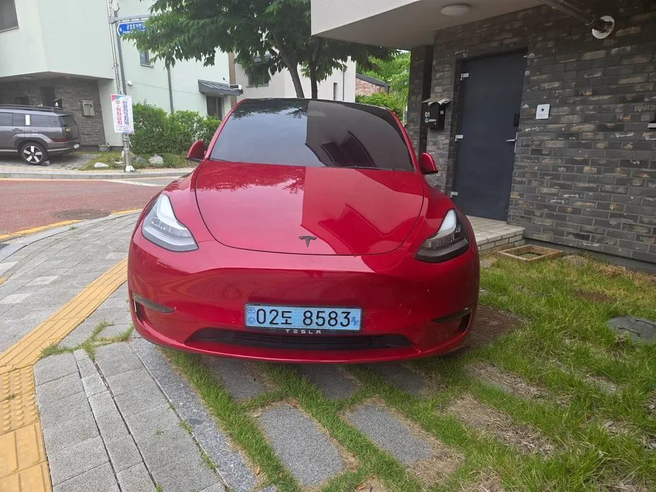 Tesla Model Y — фото 9