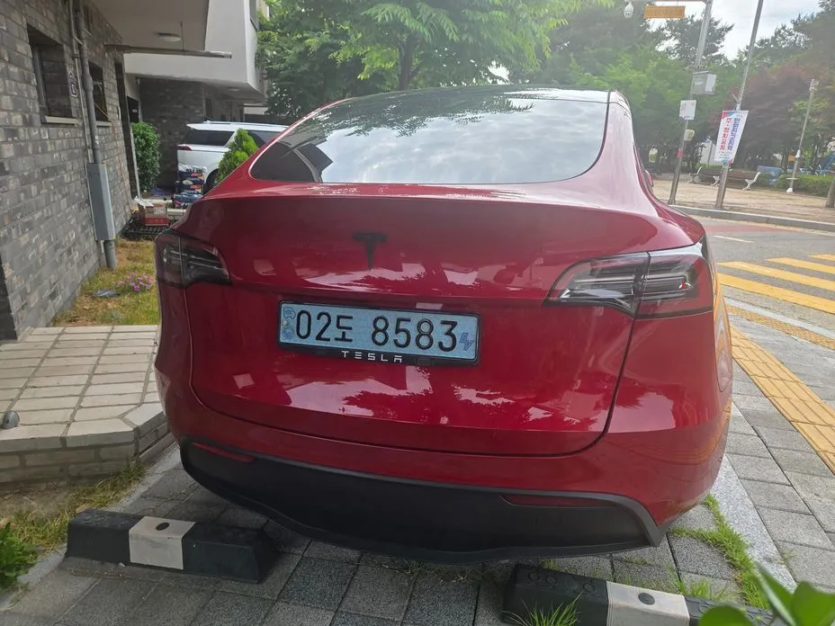 Tesla Model Y — фото 8