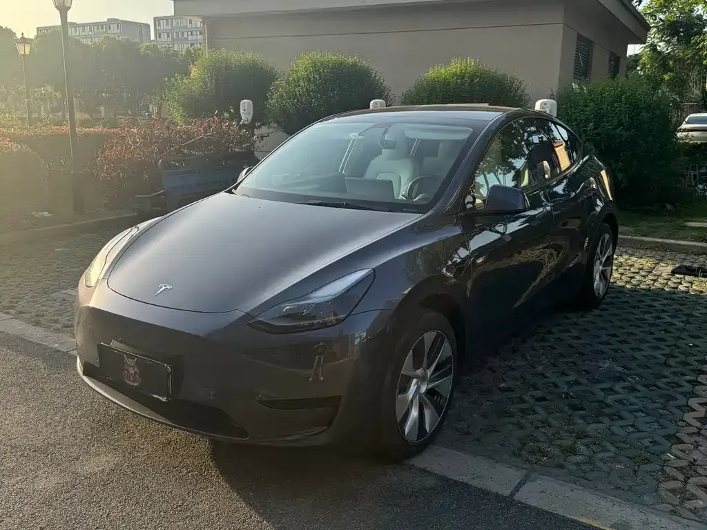 Tesla Model Y — фото 1