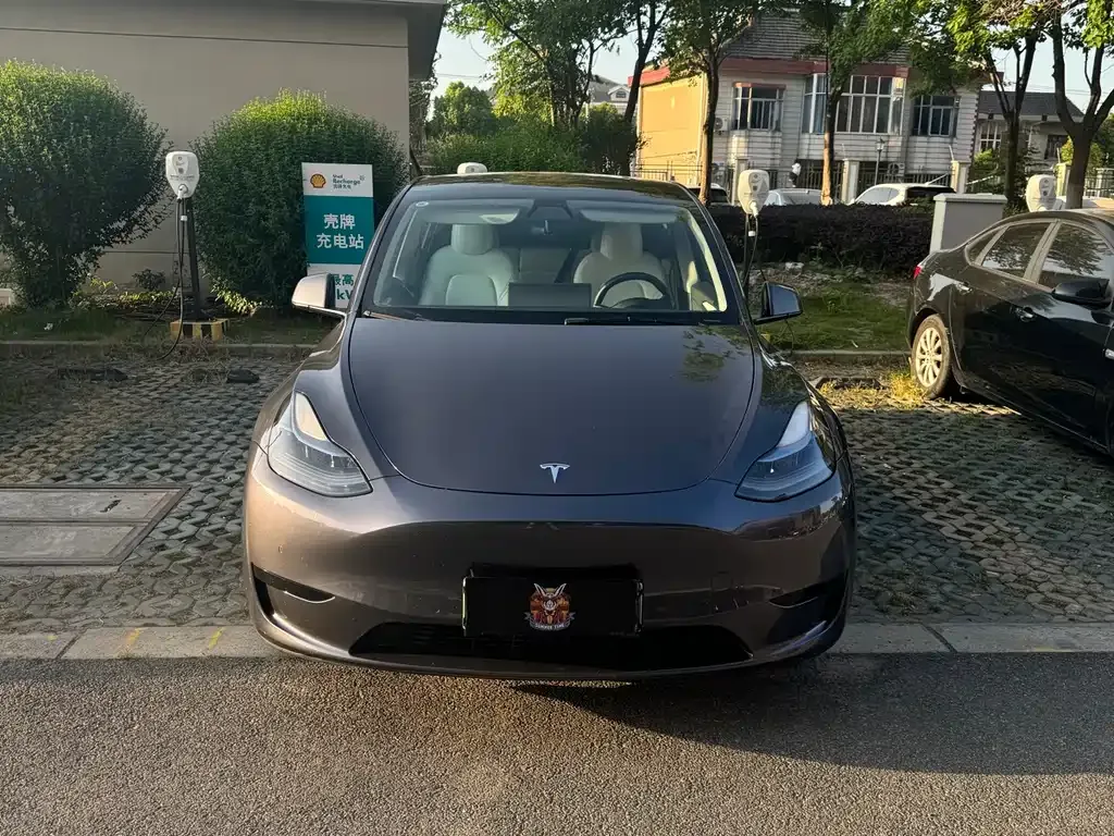 Tesla Model Y — фото 10
