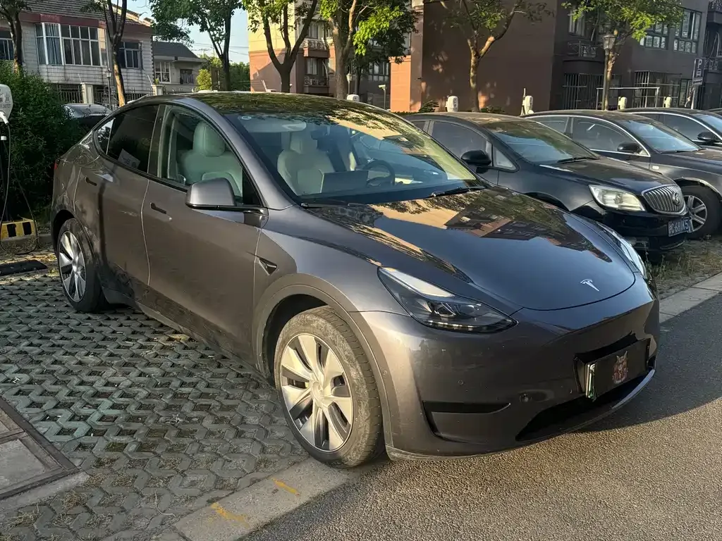 Tesla Model Y — фото 9
