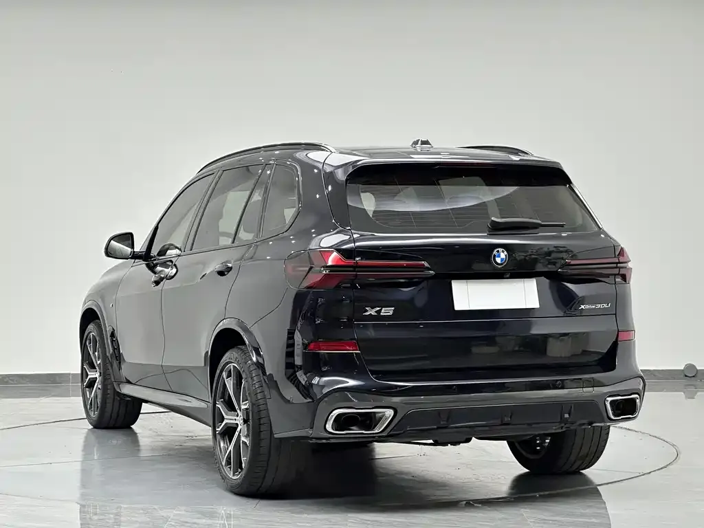 BMW X5 — фото 5