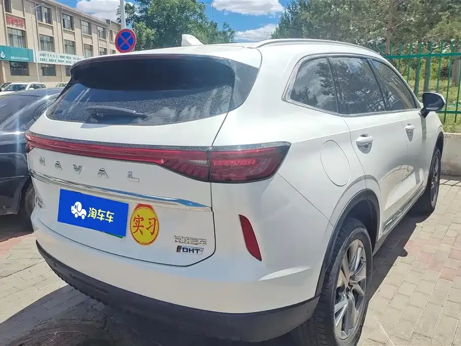 Haval H6 New Energy 2024 из CN, фото 5