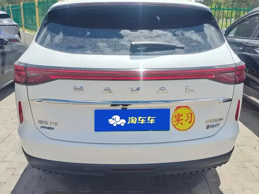 Haval H6 New Energy 2024 из CN, фото 9