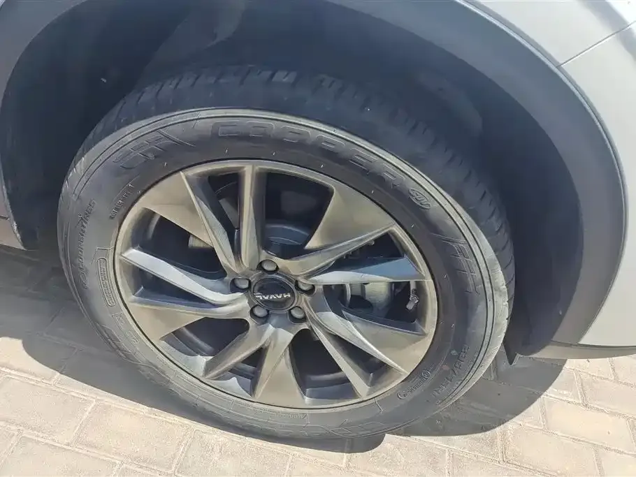 Haval H6 New Energy 2024 из CN, фото 10
