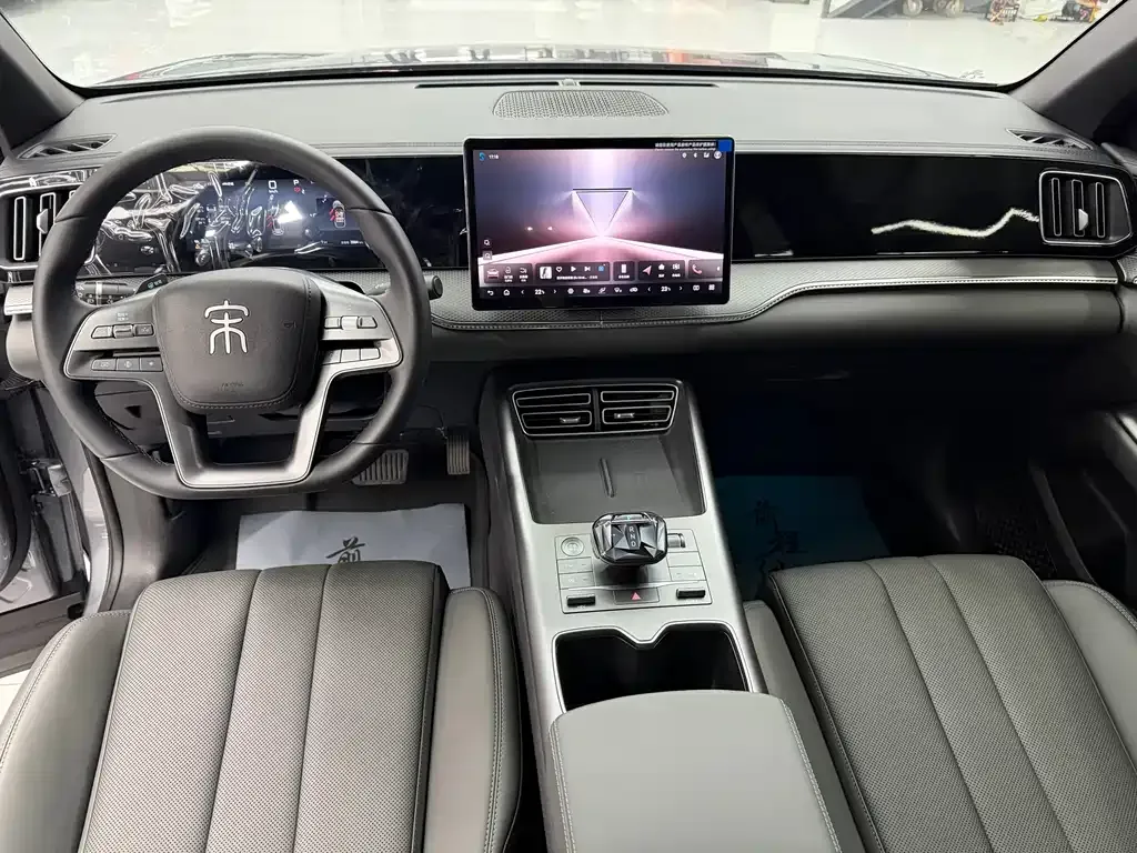 BYD Pro New Energy — фото 7