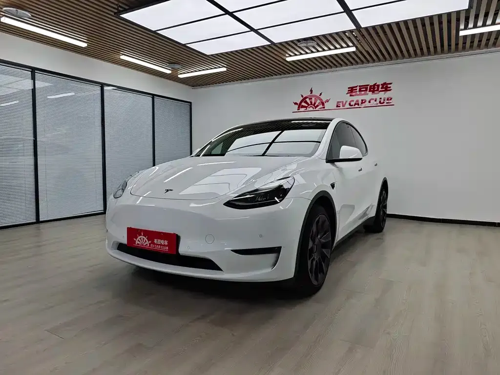 Tesla Model Y — фото 1