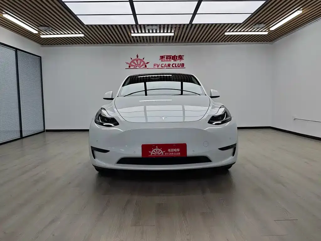 Tesla Model Y — фото 5
