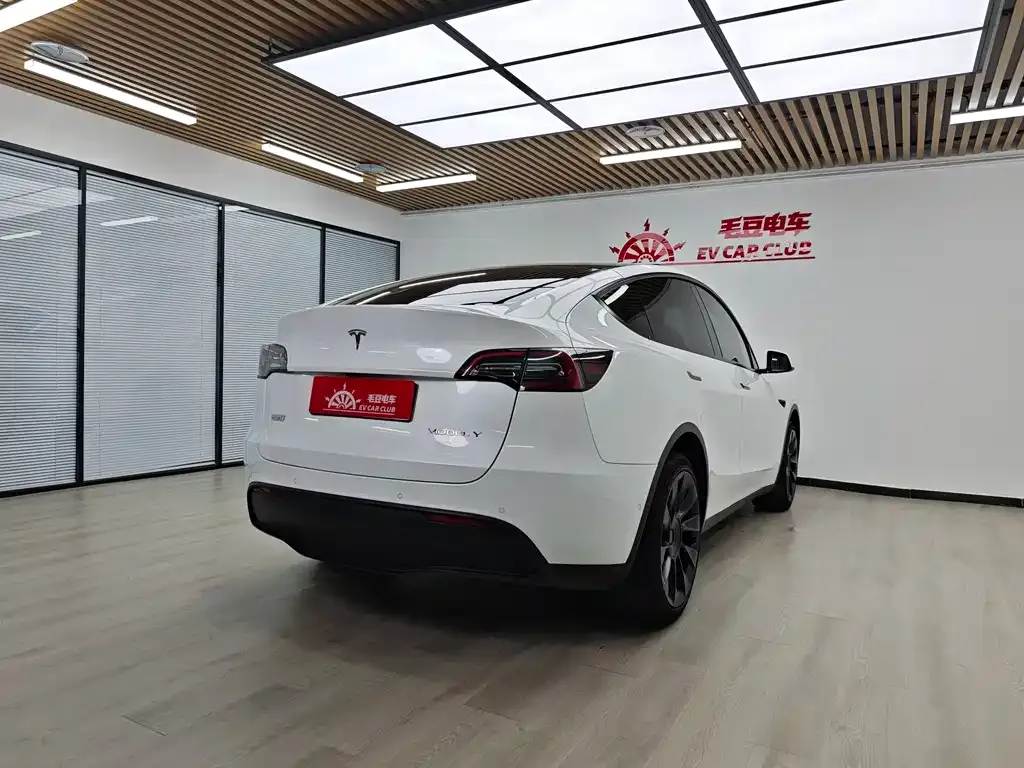 Tesla Model Y — фото 4