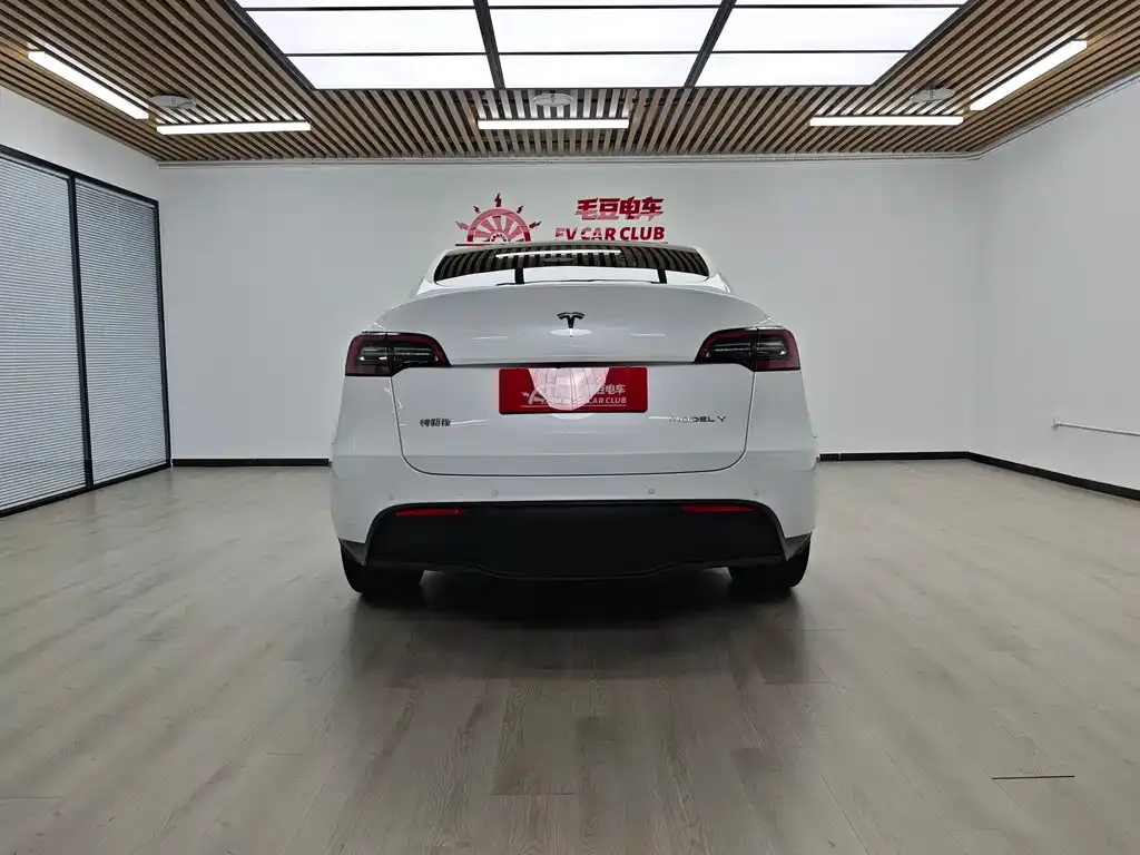 Tesla Model Y — фото 10