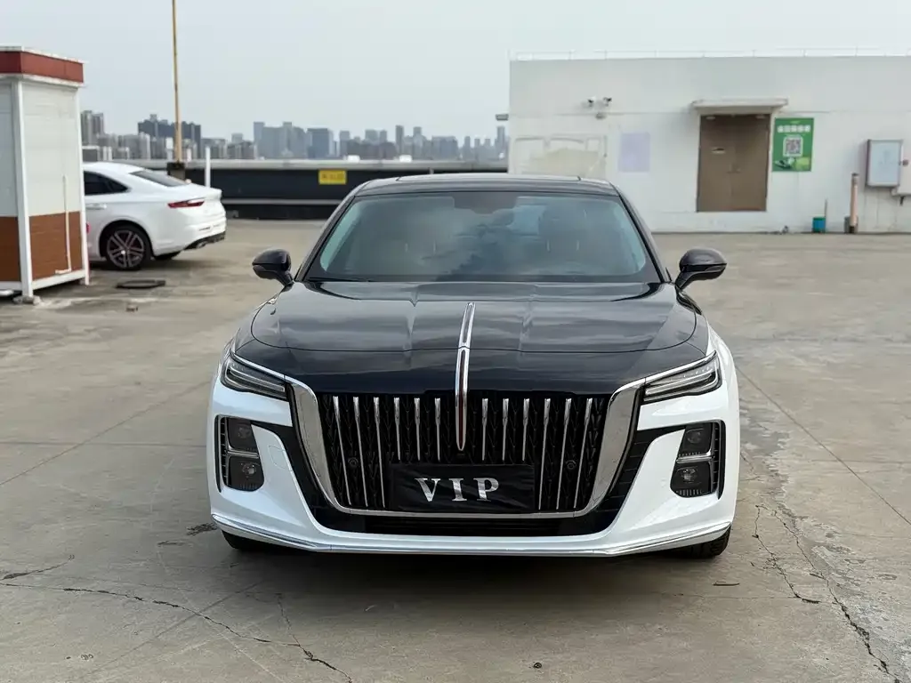 Hongqi H5 2024 из CN, фото 9