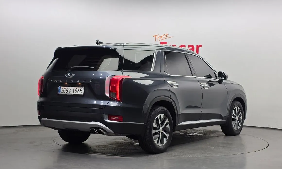 Hyundai Palisade — фото 10