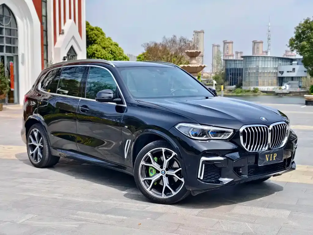 BMW X5 2023 из CN, фото 6