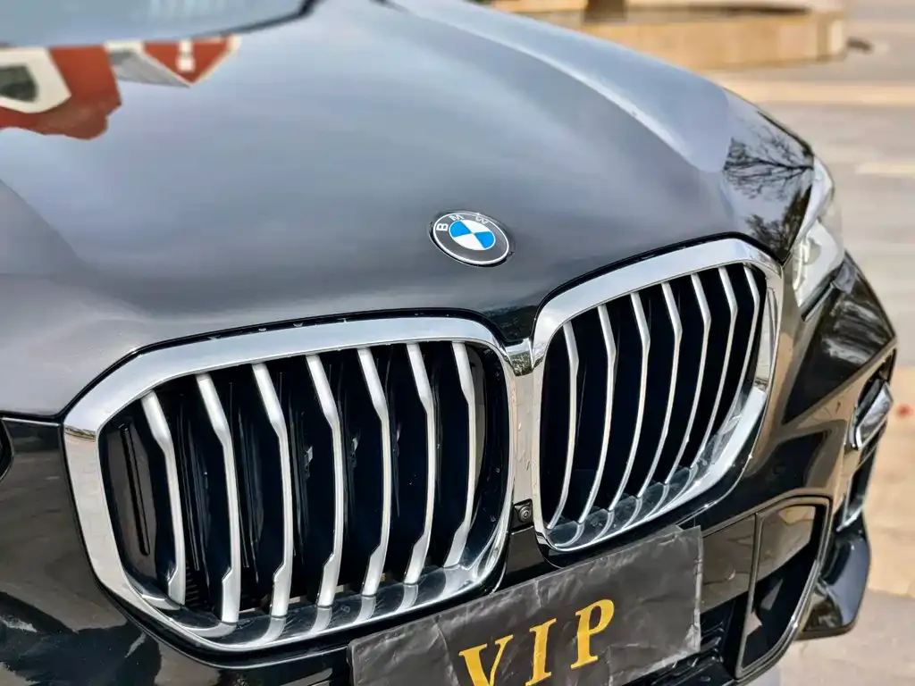 BMW X5 2023 из CN, фото 8