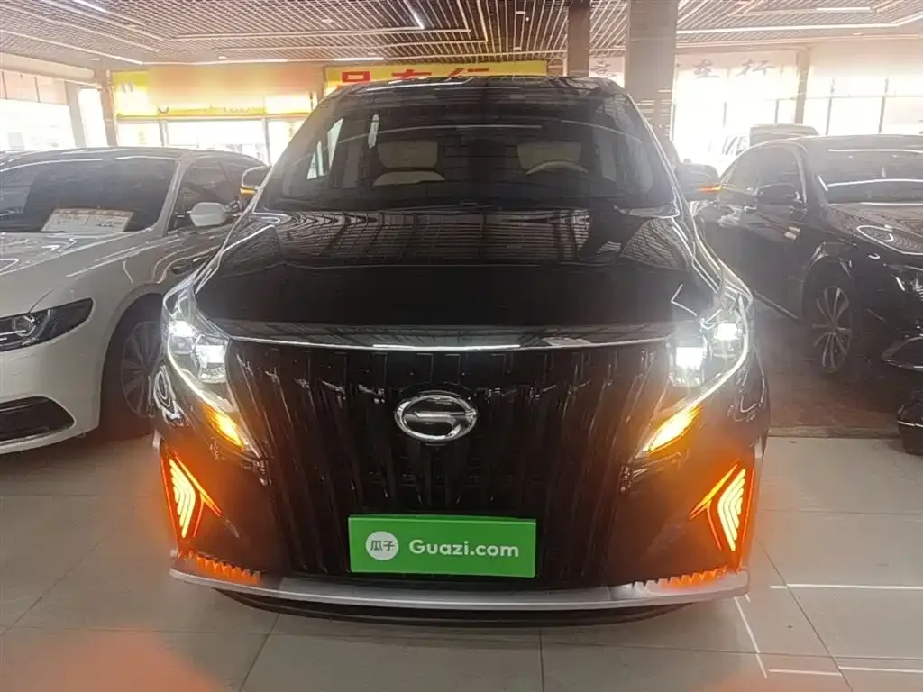 GAC Motor Trumpchi M8 2021 из CN, фото 8