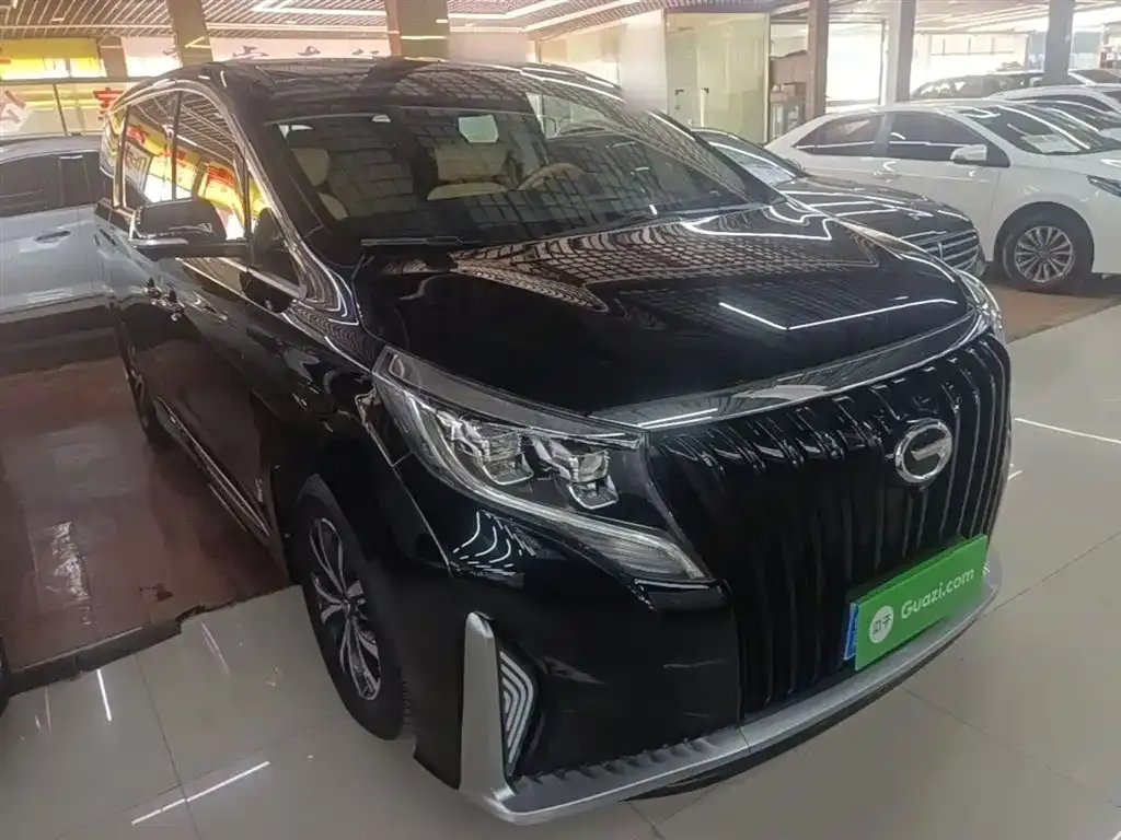 GAC Motor Trumpchi M8 2021 из CN, фото 4