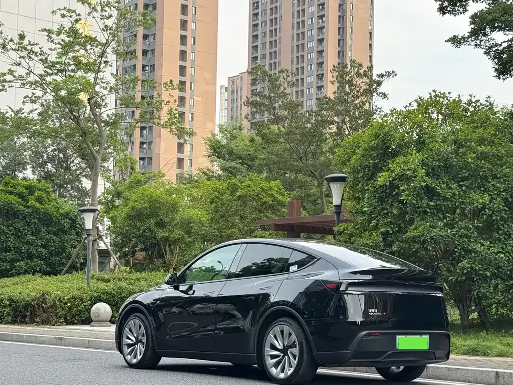 Tesla Model Y — фото 6
