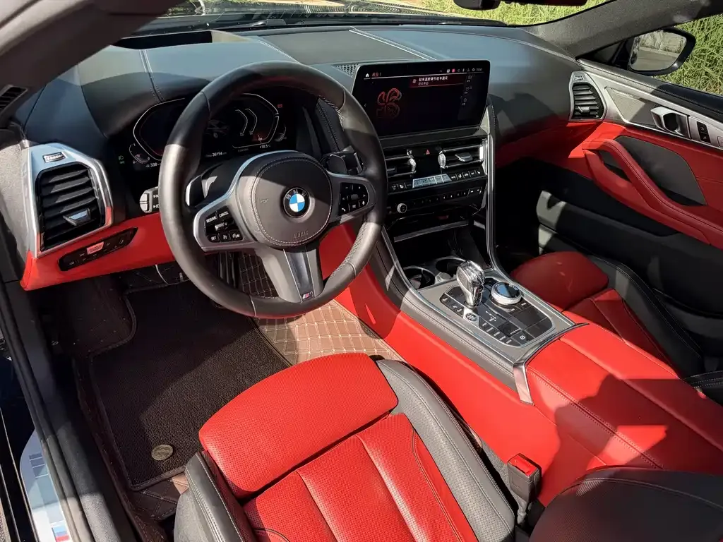 BMW 8 Series 2024 из CN, фото 10