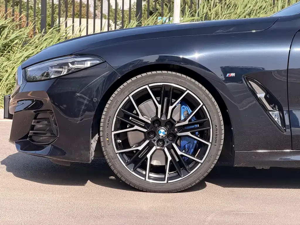 BMW 8 Series 2024 из CN, фото 5