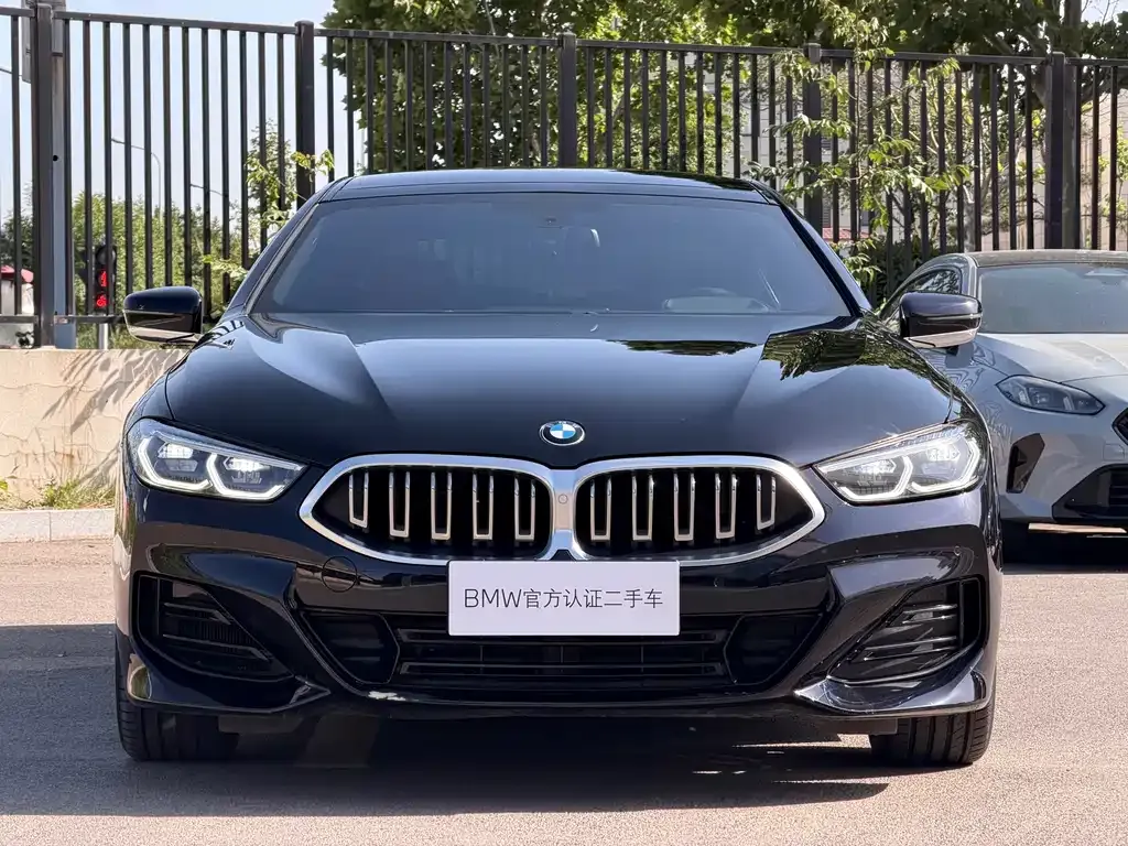 BMW 8 Series 2024 из CN, фото 4
