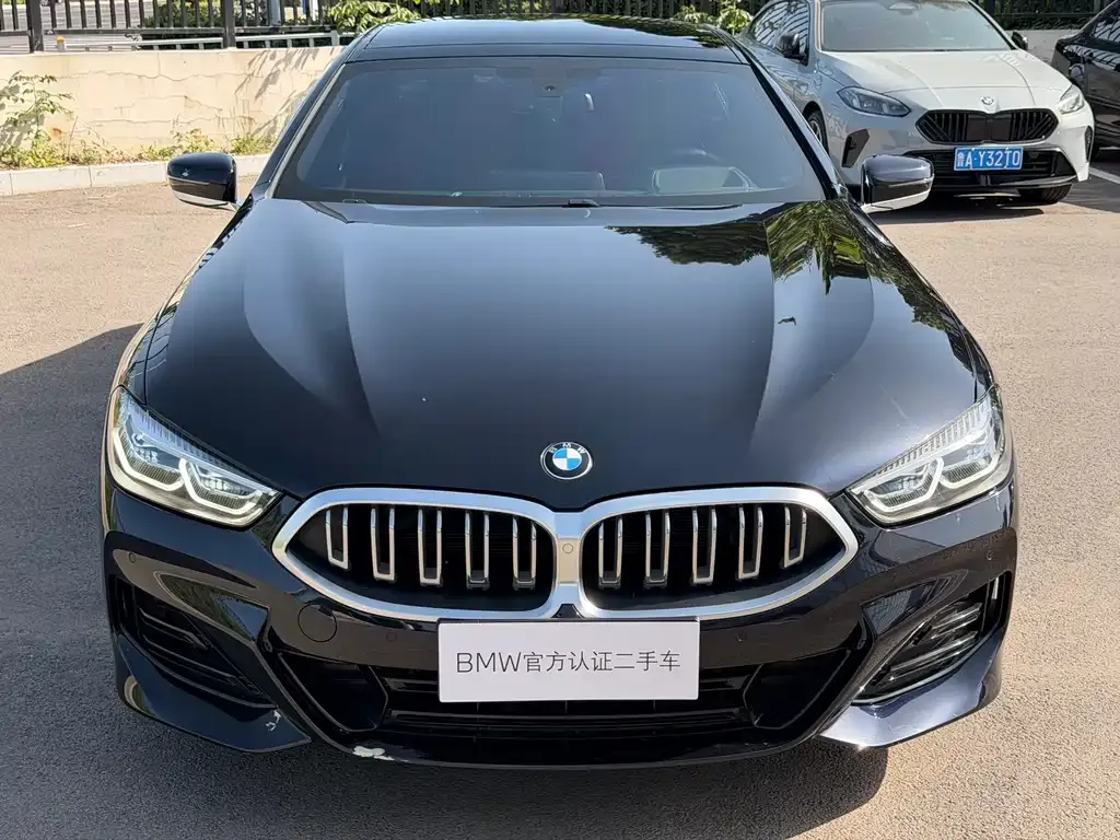 BMW 8 Series 2024 из CN, фото 6