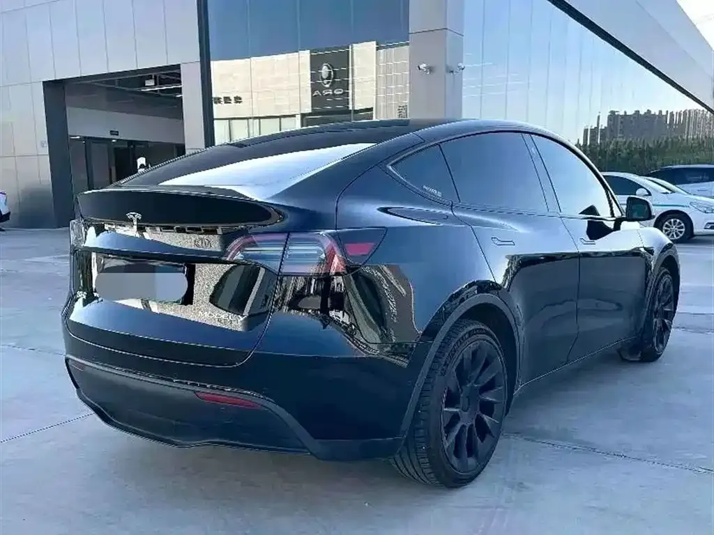 Tesla Model Y — фото 3