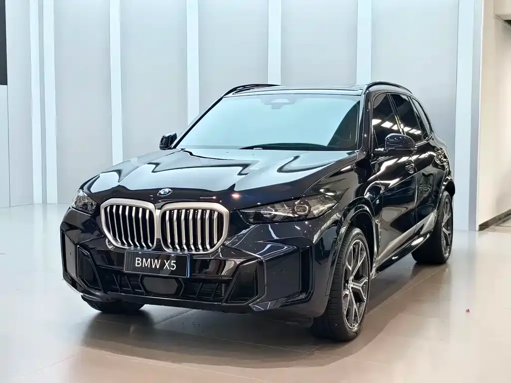 BMW X5 — фото 1