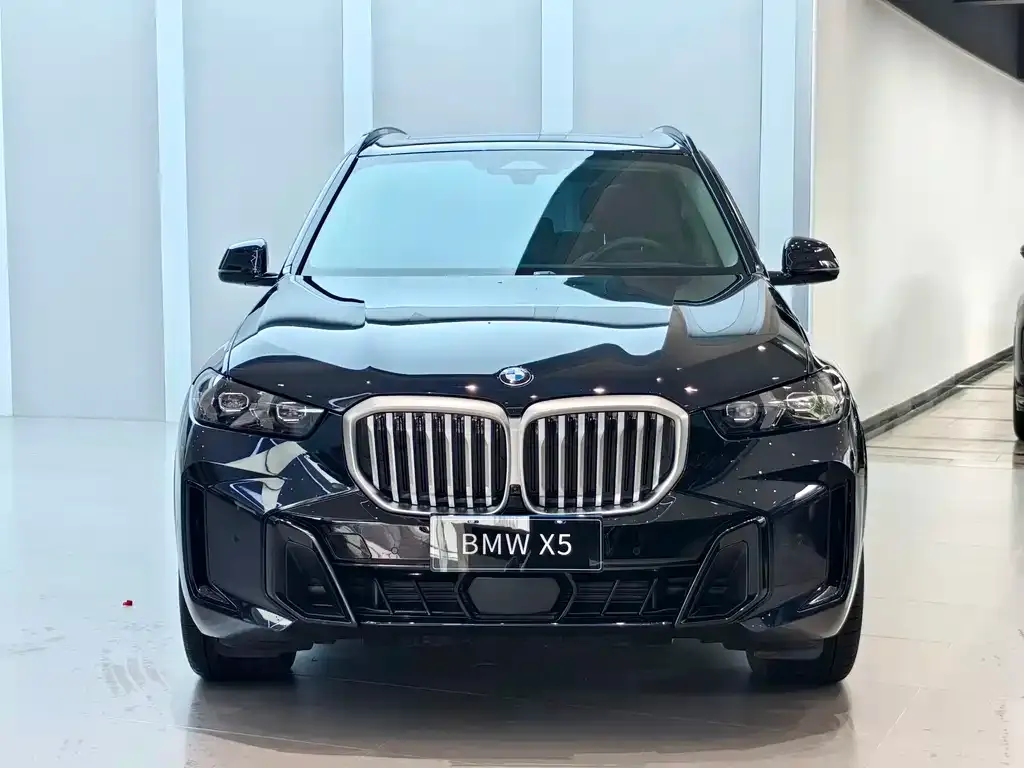 BMW X5 — фото 4
