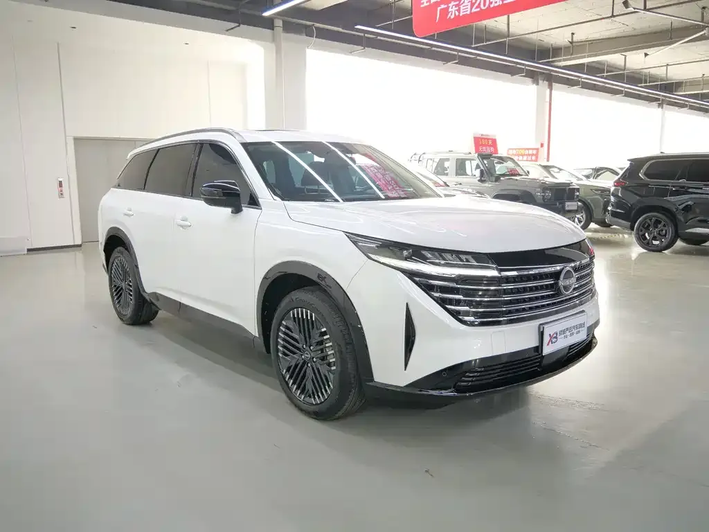 Nissan Teramont 2024 из CN, фото 4