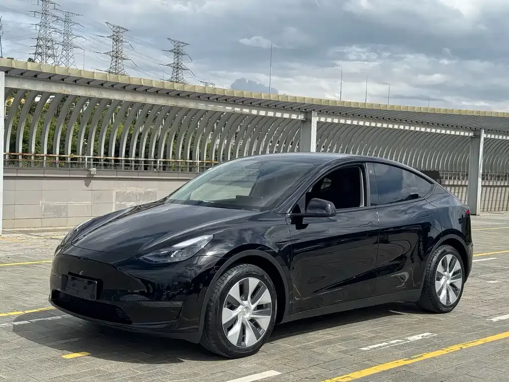 Tesla Model Y — фото 1