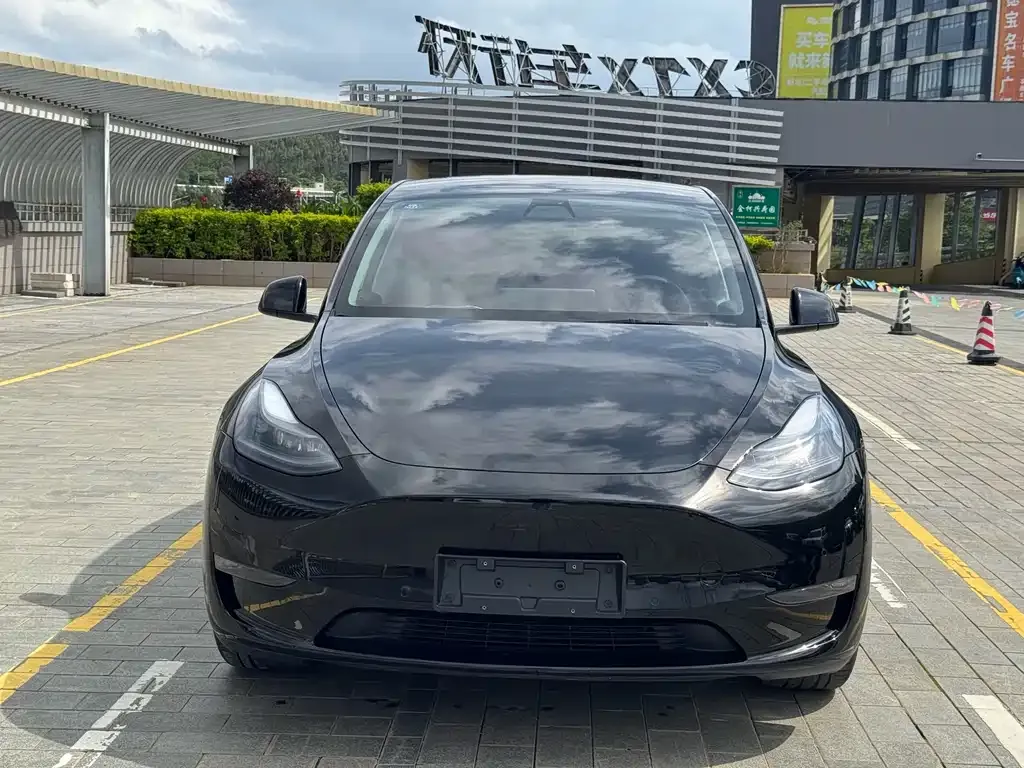 Tesla Model Y — фото 4
