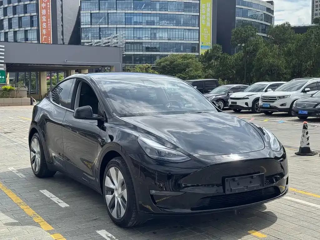 Tesla Model Y — фото 5