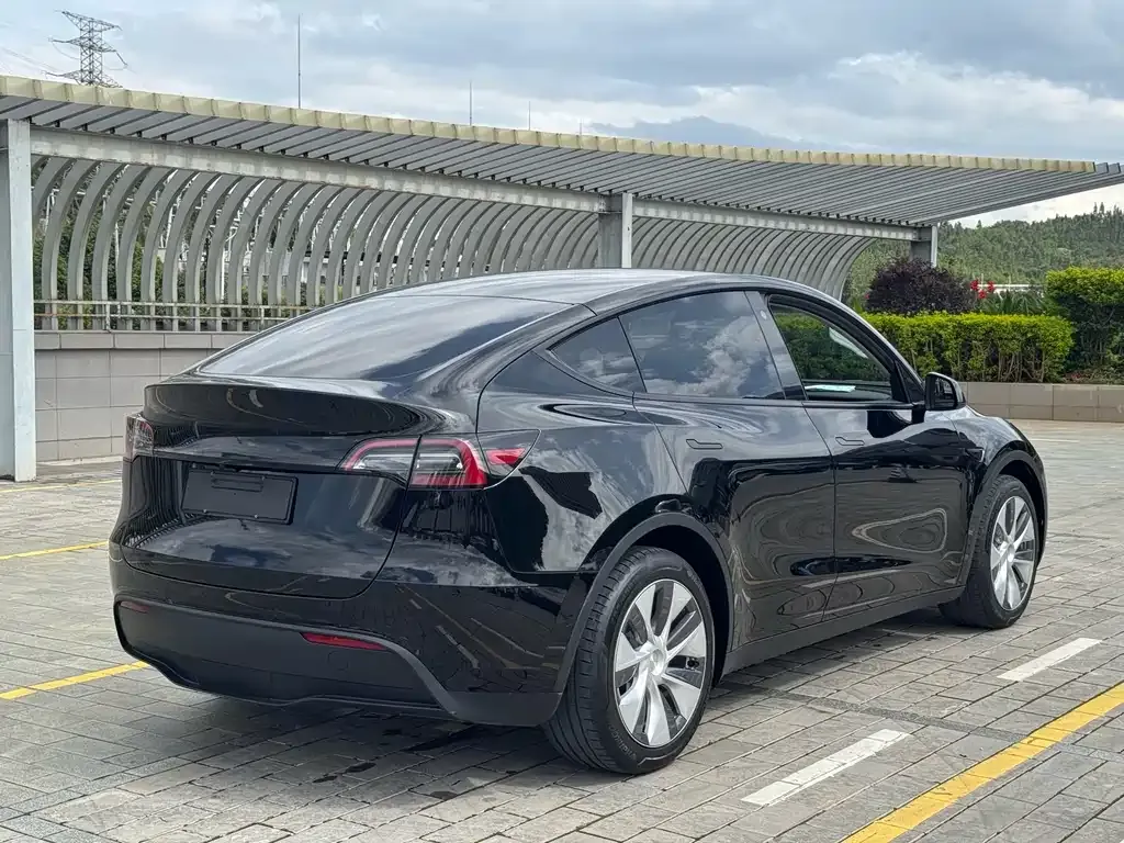 Tesla Model Y — фото 8