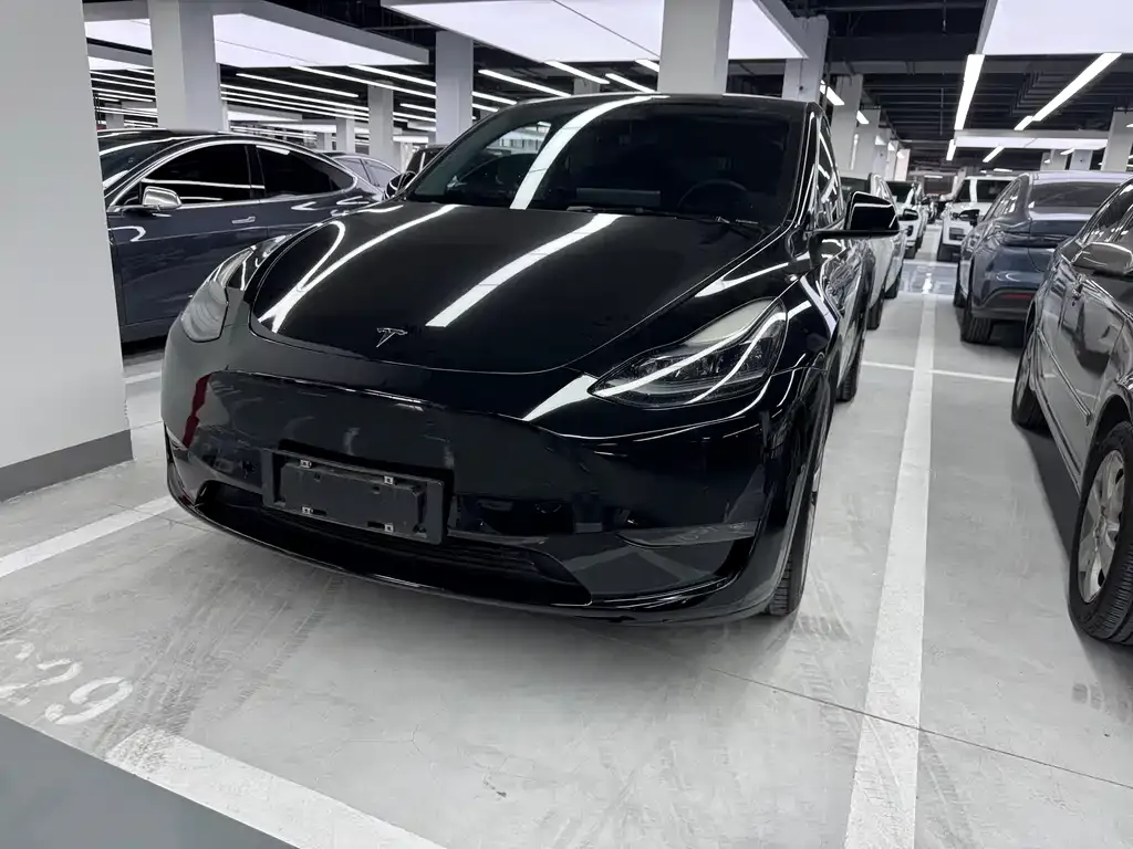 Tesla Model Y — фото 1