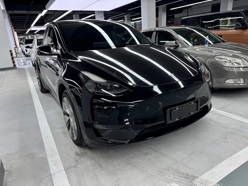 Tesla Model Y — фото 2