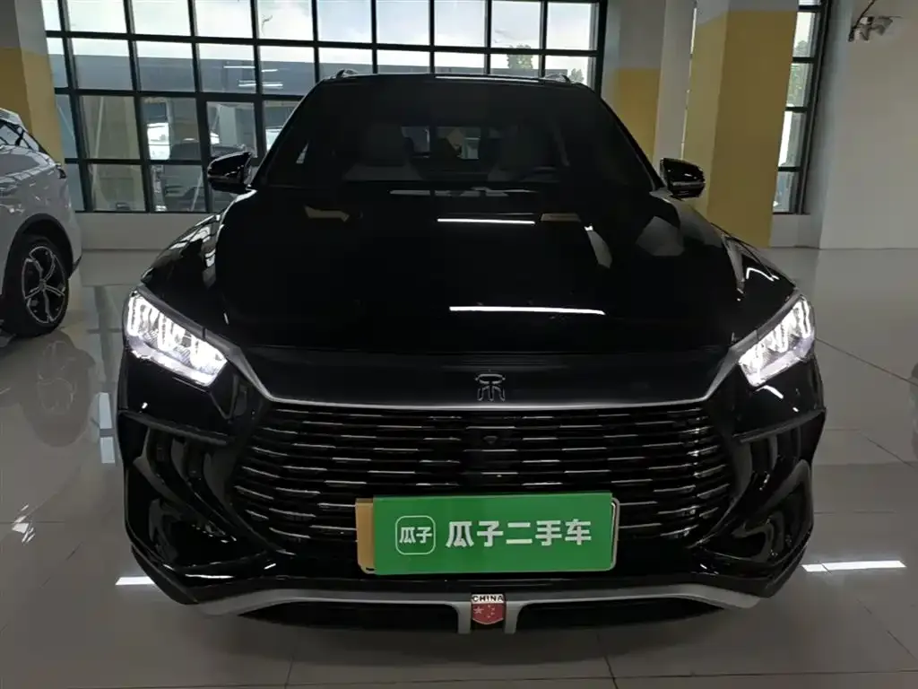 BYD Pro New Energy — фото 2
