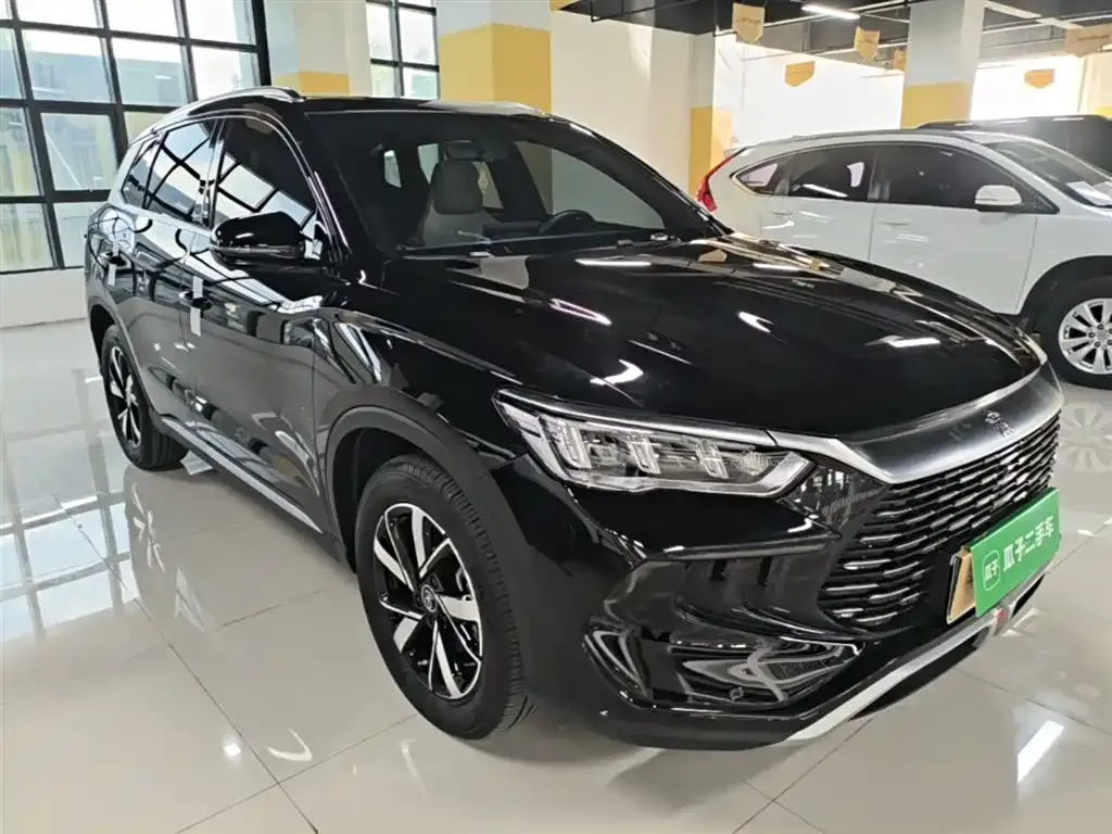 BYD Pro New Energy — фото 7