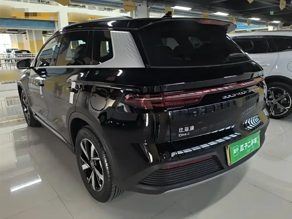 BYD Pro New Energy — фото 4