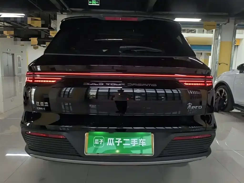 BYD Pro New Energy — фото 6