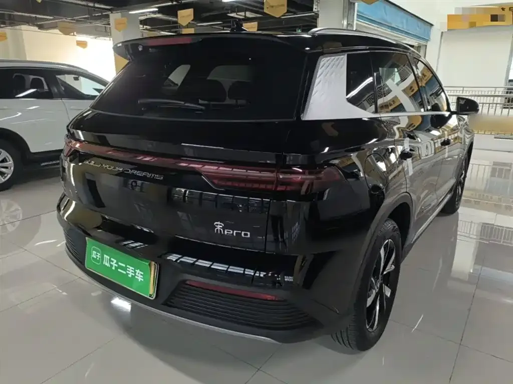 BYD Pro New Energy — фото 3