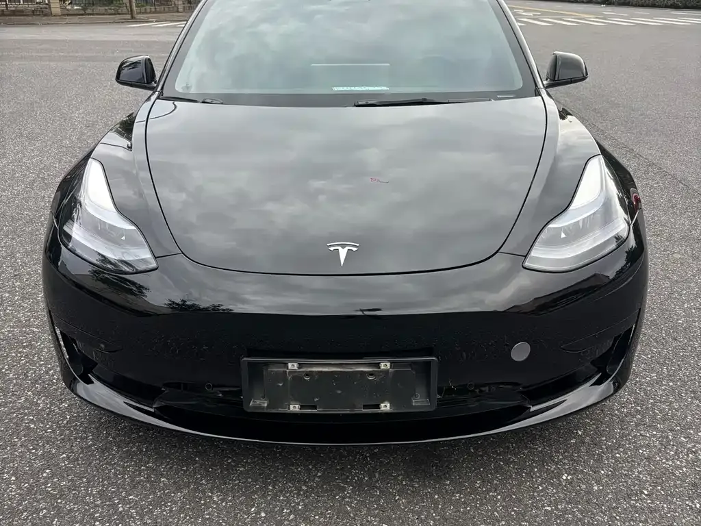 Tesla Model 3 2023 из CN, фото 2