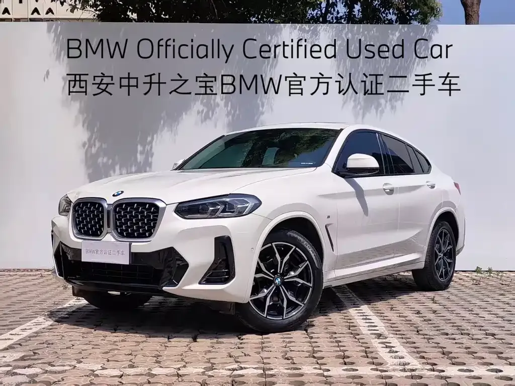 BMW X4 — фото 1