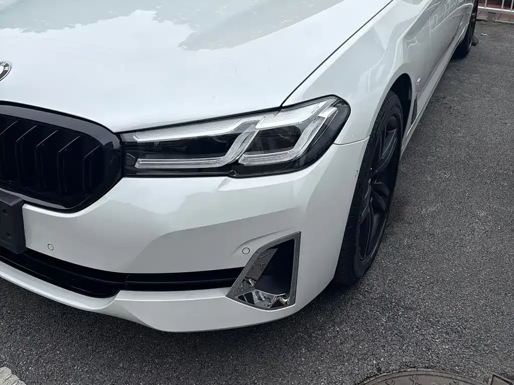 BMW 5 Series 2021 из CN, фото 4