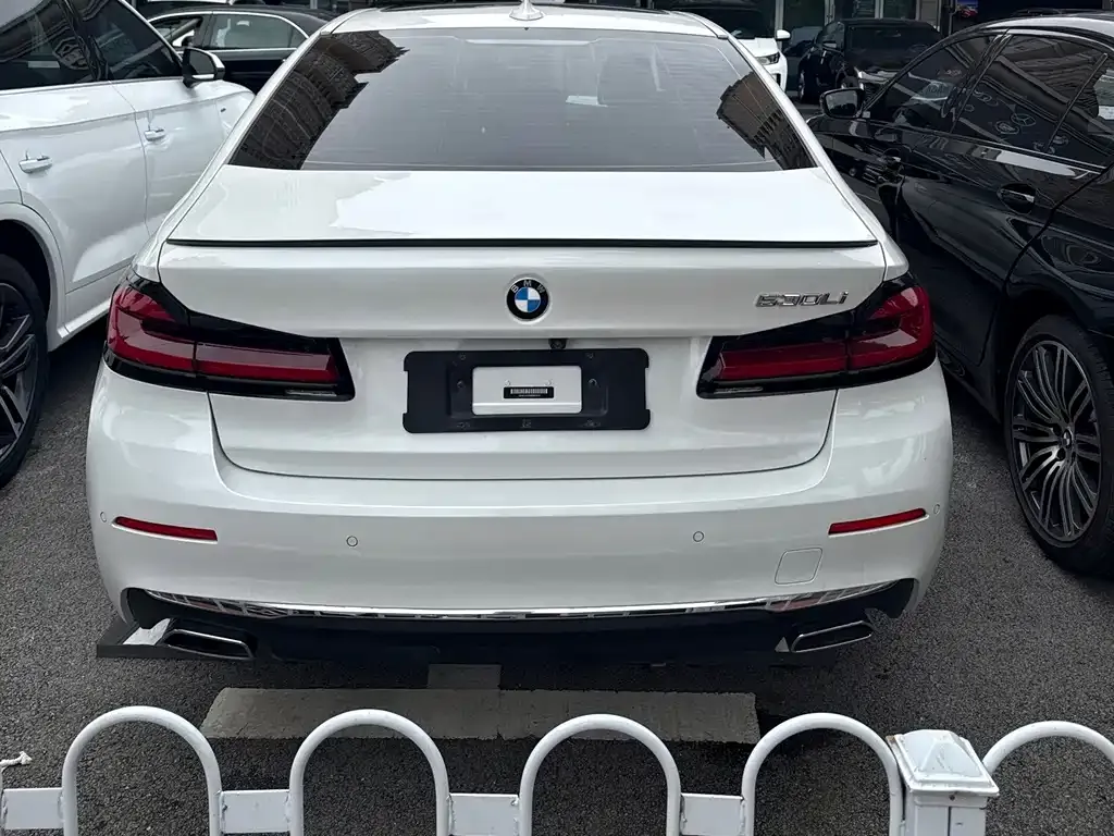 BMW 5 Series 2021 из CN, фото 3