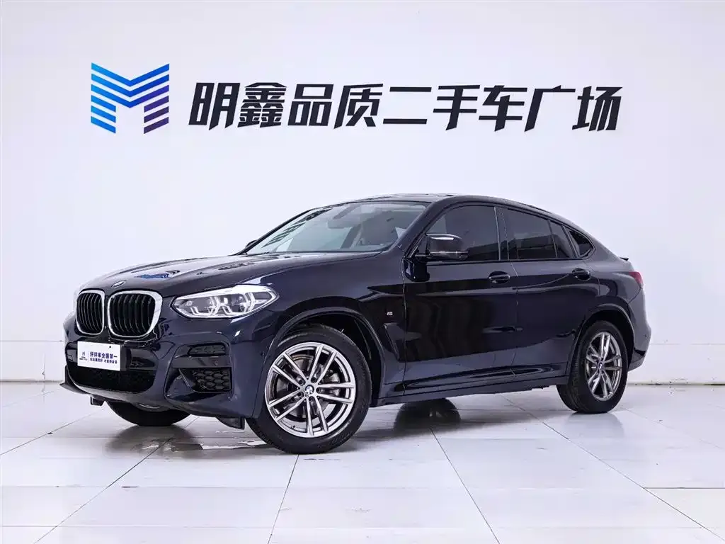 BMW X4 2021 из CN, фото 4