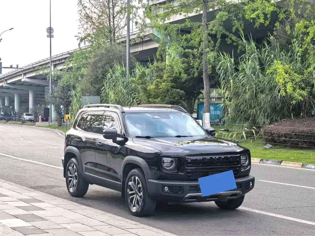 Haval Big Dog — фото 6