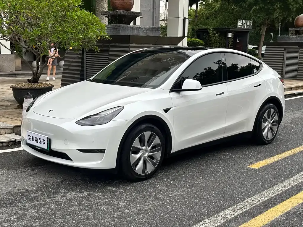 Tesla Model Y — фото 1