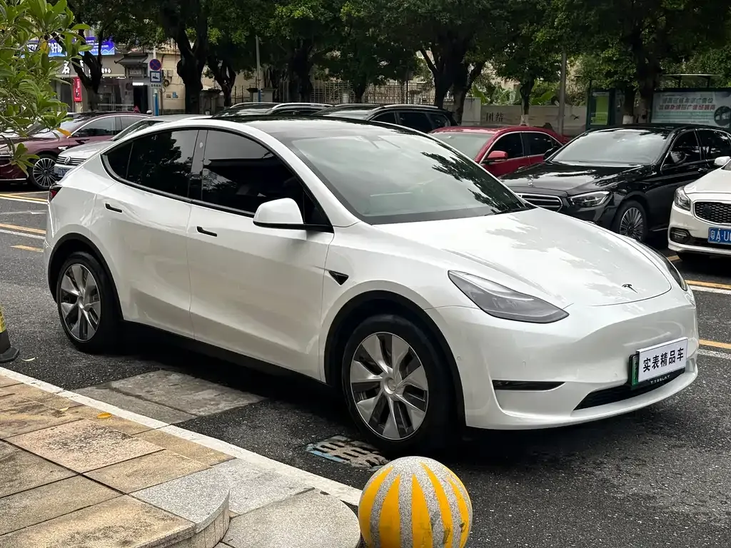Tesla Model Y — фото 8