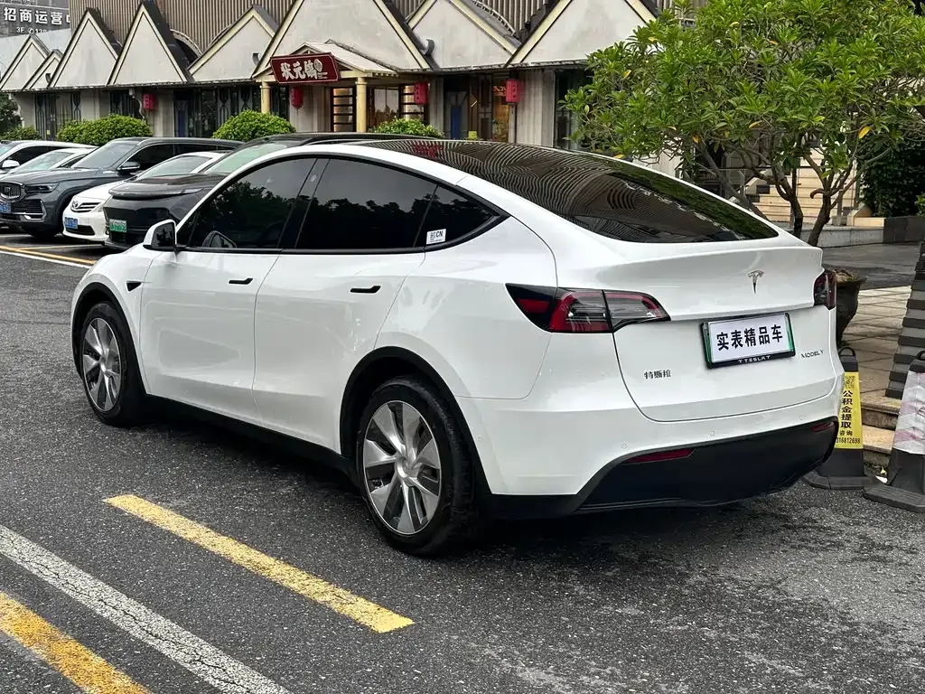 Tesla Model Y — фото 10