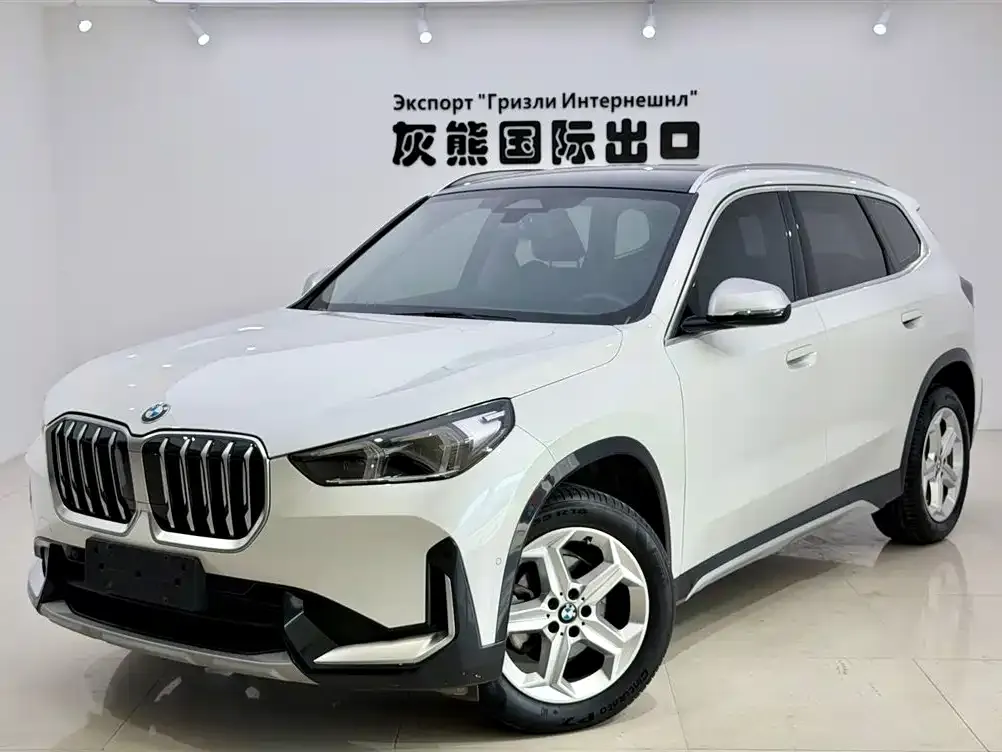 BMW X1 — фото 1